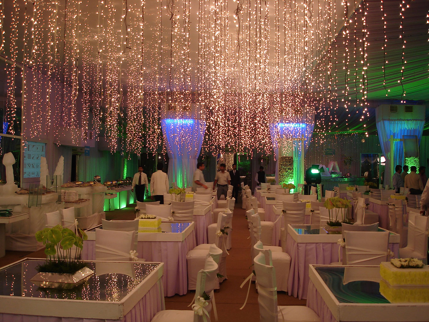 Wedding Decoration Flowers and Lights - Farm House, New Delhi